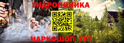 хмурый Долгопрудный