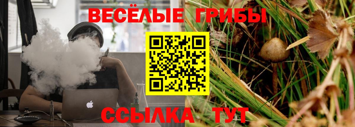 Миасс  Псилоцибиновые грибы GOLDEN TEACHER  закладка  Галлюциногенные грибы Magic Shrooms  Вход с VPN 