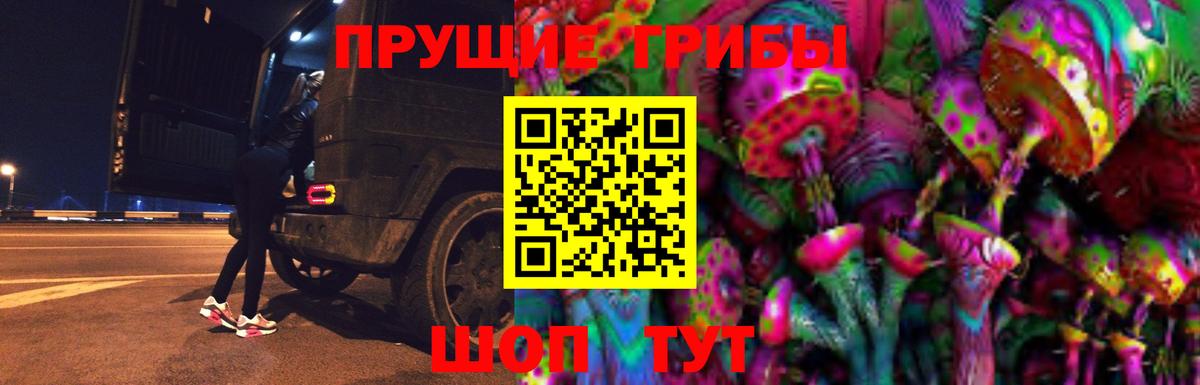 Псилоцибиновые грибы мицелий Миасс